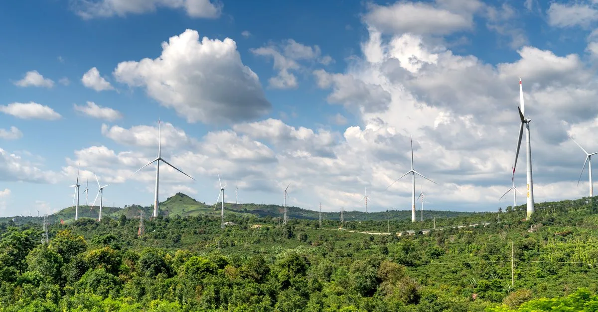 découvrez les réglementations environnementales essentielles pour protéger la nature, garantir la conformité légale et promouvoir un développement durable responsable.